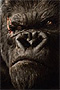 King Kong