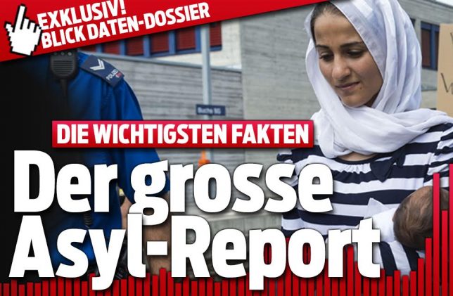 Asylreport